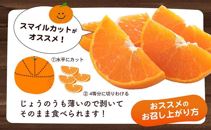 【数量限定 今季最終受付】愛媛県産せとか（ハウス）約2.7kg[50R0846] 【高島屋選定品】L～３Lサイズ(10～15玉) 1月下旬頃～順次発送＜旬 化粧箱 ギフト 高級 甘い みかん    フルーツ＞ [No.5310-0042]