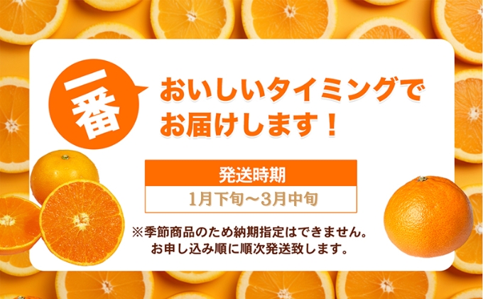 【数量限定 今季最終受付】愛媛県産せとか（ハウス）約2.7kg[50R0846] 【高島屋選定品】L～３Lサイズ(10～15玉) 1月下旬頃～順次発送＜旬 化粧箱 ギフト 高級 甘い みかん    フルーツ＞ [No.5310-0042]