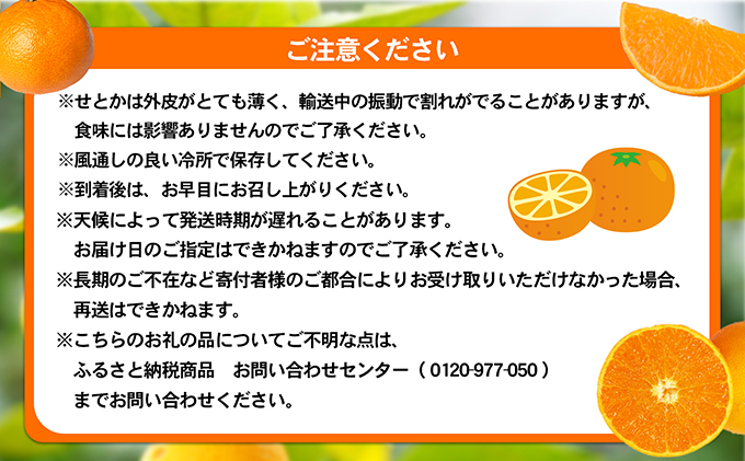 【数量限定 今季最終受付】愛媛県産せとか（ハウス）約2.7kg[50R0846] 【高島屋選定品】L～３Lサイズ(10～15玉) 1月下旬頃～順次発送＜旬 化粧箱 ギフト 高級 甘い みかん    フルーツ＞ [No.5310-0042]