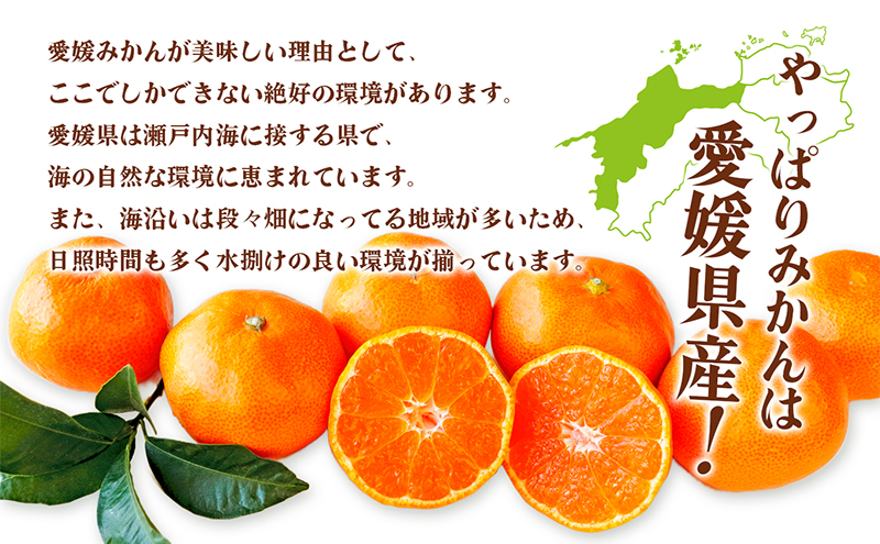 愛媛県産JA正規品 温州みかん【優】約10Kg L～Sサイズ（2024年11月～順次発送）【旬 甘い みかん 蜜柑 柑橘 かんきつ 高級 先行予約】　 果物類 フルーツ 果皮 食べやすい 美味しい　 