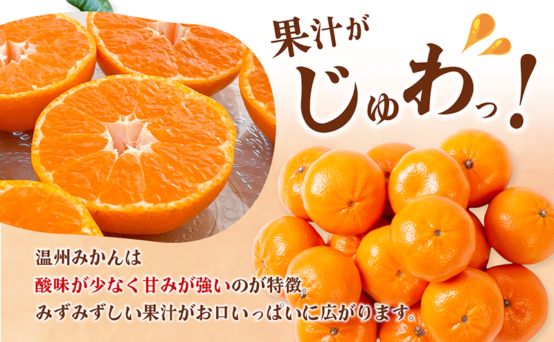 愛媛県産JA正規品 温州みかん【優】約10Kg L～Sサイズ（2024年11月～順次発送）【旬 甘い みかん 蜜柑 柑橘 かんきつ 高級 先行予約】　 果物類 フルーツ 果皮 食べやすい 美味しい　 
