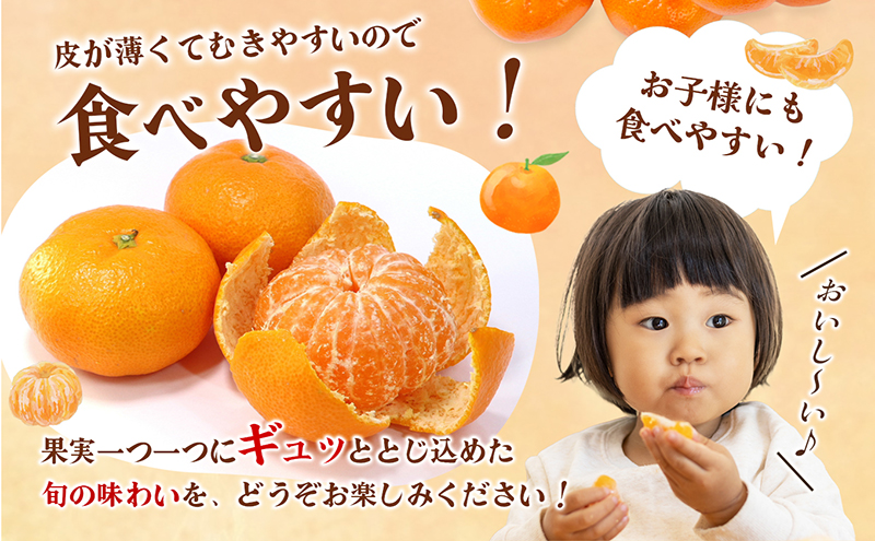 愛媛県産JA正規品 温州みかん【優】約10Kg L～Sサイズ（2024年11月～順次発送）【旬 甘い みかん 蜜柑 柑橘 かんきつ 高級 先行予約】　 果物類 フルーツ 果皮 食べやすい 美味しい　 