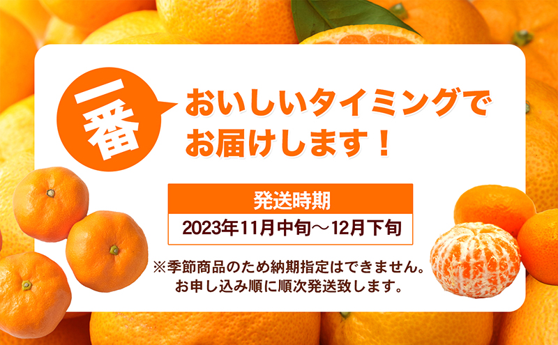 愛媛県産JA正規品 温州みかん【優】約10Kg L～Sサイズ（2024年11月～順次発送）【旬 甘い みかん 蜜柑 柑橘 かんきつ 高級 先行予約】　 果物類 フルーツ 果皮 食べやすい 美味しい　 