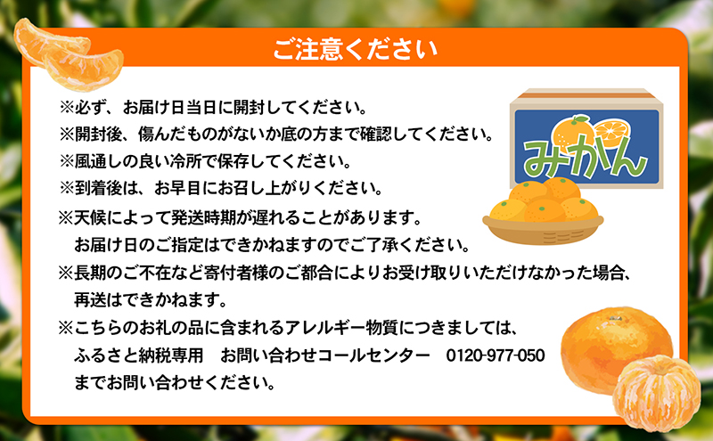 愛媛県産JA正規品 温州みかん【優】約10Kg L～Sサイズ（2024年11月～順次発送）【旬 甘い みかん 蜜柑 柑橘 かんきつ 高級 先行予約】　 果物類 フルーツ 果皮 食べやすい 美味しい　 