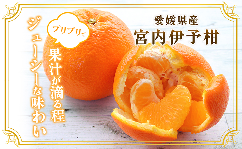 愛媛県産JA正規品 宮内伊予柑（いよかん） 約10ｋg【優】3L～L（2026年1月～順次発送）【旬にお届け 甘い みかん 蜜柑 柑橘 かんきつ 高級 先行予約】