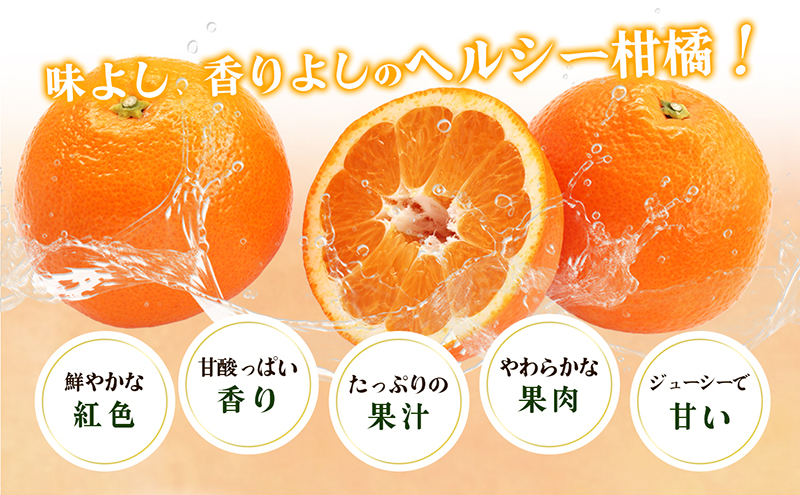 愛媛県産JA正規品 宮内伊予柑（いよかん） 約10ｋg【優】3L～L（2026年1月～順次発送）【旬にお届け 甘い みかん 蜜柑 柑橘 かんきつ 高級 先行予約】