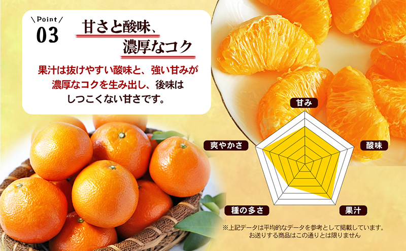 愛媛県産JA正規品 宮内伊予柑（いよかん） 約10ｋg【優】3L～L（2026年1月～順次発送）【旬にお届け 甘い みかん 蜜柑 柑橘 かんきつ 高級 先行予約】