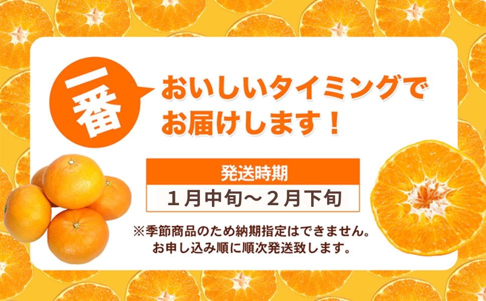 愛媛県産JA正規品 宮内伊予柑（いよかん） 約10ｋg【優】3L～L（2026年1月～順次発送）【旬にお届け 甘い みかん 蜜柑 柑橘 かんきつ 高級 先行予約】
