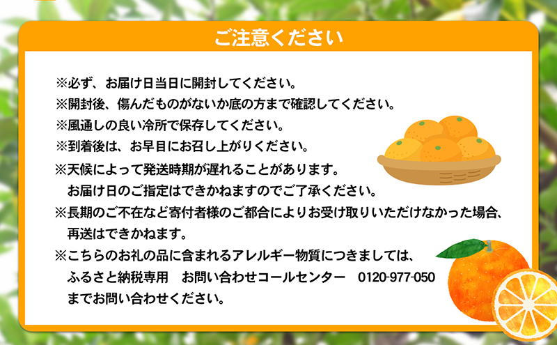愛媛県産JA正規品 宮内伊予柑（いよかん） 約10ｋg【優】3L～L（2026年1月～順次発送）【旬にお届け 甘い みかん 蜜柑 柑橘 かんきつ 高級 先行予約】