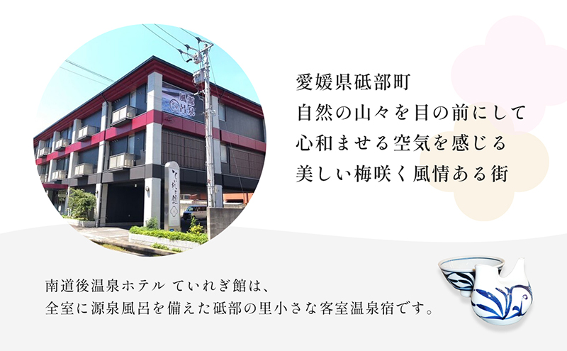 南道後温泉ホテルていれぎ館　1泊朝食付ペア宿泊券　一般客室　旅館 天然温泉 関西 四国 口コミ 朝ごはん 動物園 人気 砥部焼  旅行 チケット ホテル券 朝食ビュッフェ 全室天然温泉風呂付き 