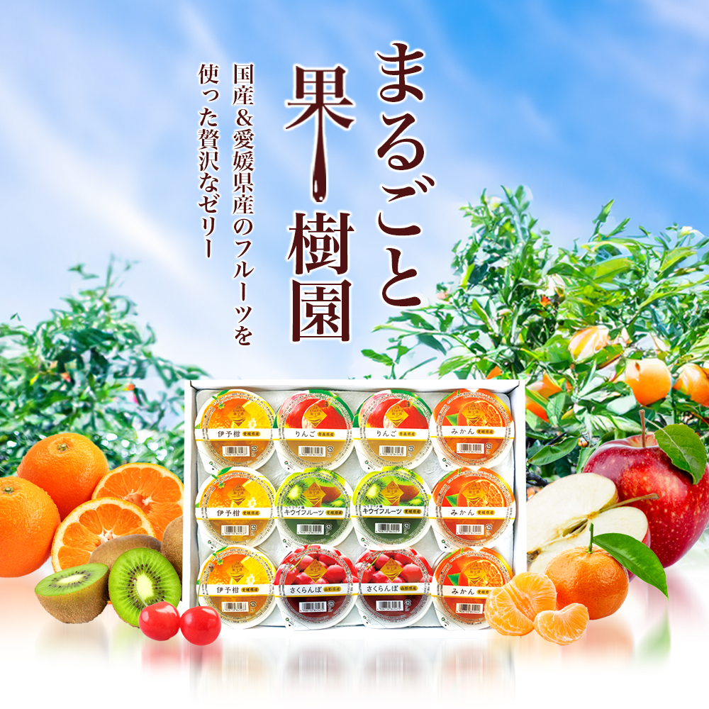 カップゼリーまるごと果樹園詰め合わせ5種12個セット（伊予柑、みかん、りんご、キウイフルーツ、さくらんぼ）No.12 国産 愛媛県 ギフト 
