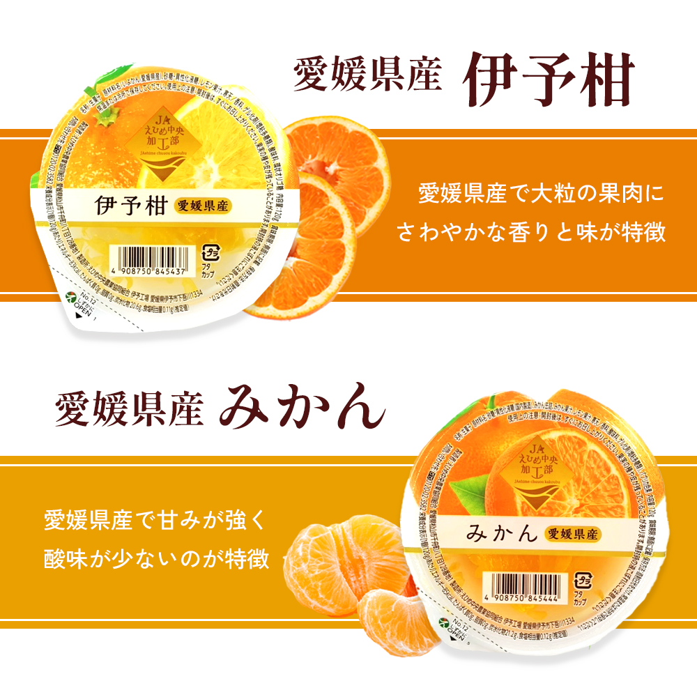 カップゼリーまるごと果樹園詰め合わせ5種12個セット（伊予柑、みかん、りんご、キウイフルーツ、さくらんぼ）No.12 国産 愛媛県 ギフト 