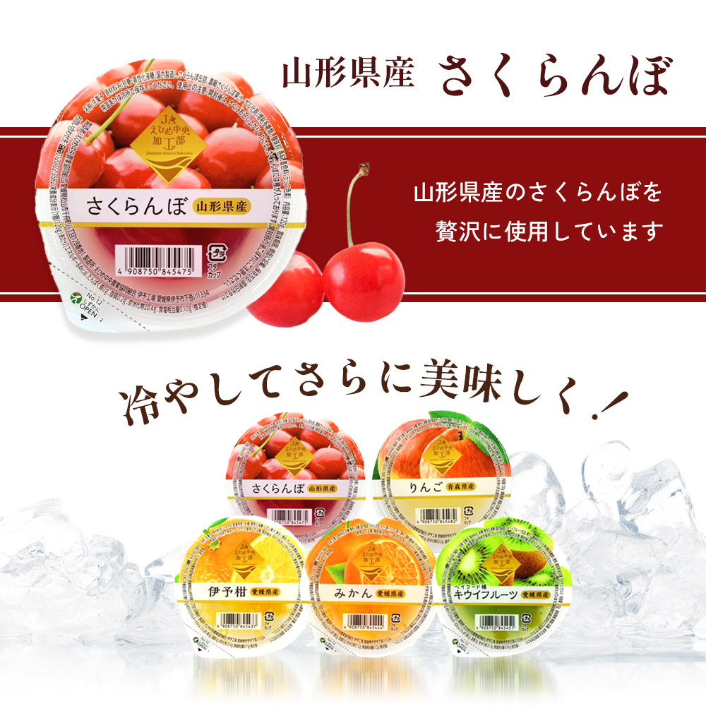 カップゼリーまるごと果樹園詰め合わせ5種12個セット（伊予柑、みかん、りんご、キウイフルーツ、さくらんぼ）No.12 国産 愛媛県 ギフト 