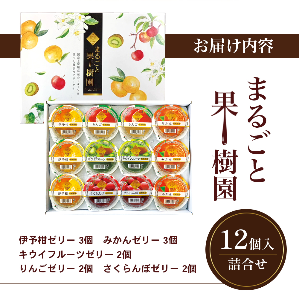 カップゼリーまるごと果樹園詰め合わせ5種12個セット（伊予柑、みかん、りんご、キウイフルーツ、さくらんぼ）No.12 国産 愛媛県 ギフト 