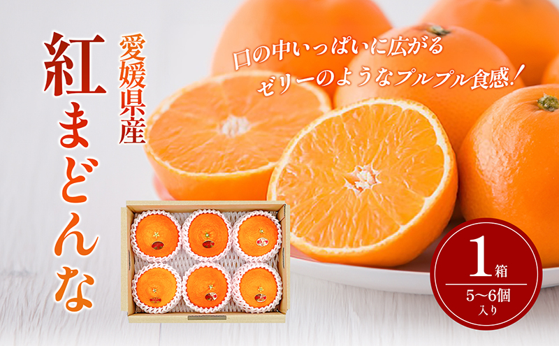 【箱数限定！申込12月7日まで】紅まどんな　1箱（5～6個入り）11月下旬から順次発送 ＜期間限定 数量限定 ミカン みかん 柑橘 高級品 正規品 紅マドンナ フルーツ 果物 スイーツ おやつ 愛媛県 贈答＞