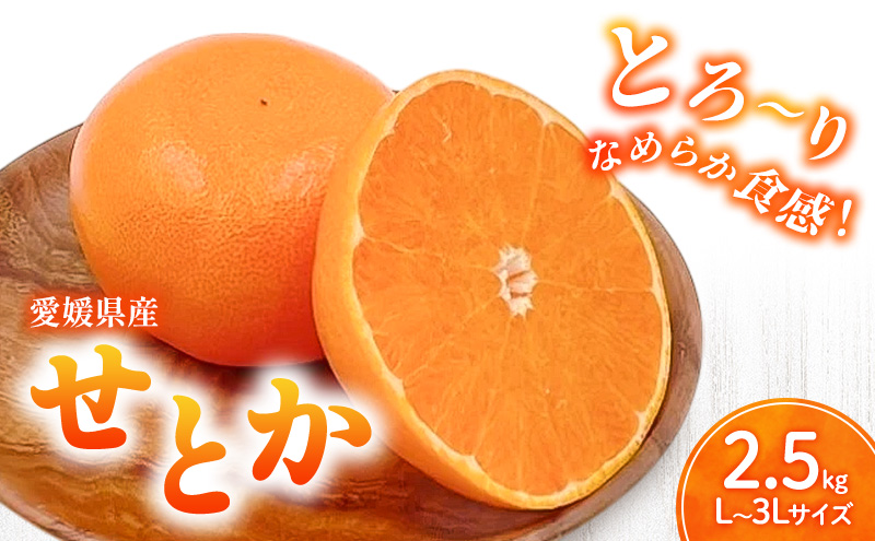 せとか L～3Lサイズ　2.5kg　みきゃん箱入＜みかん 柑橘 フルーツ 果物 愛媛県 国産 甘い 人気 先行予約 数量限定 旬にお届け 瀬戸香＞