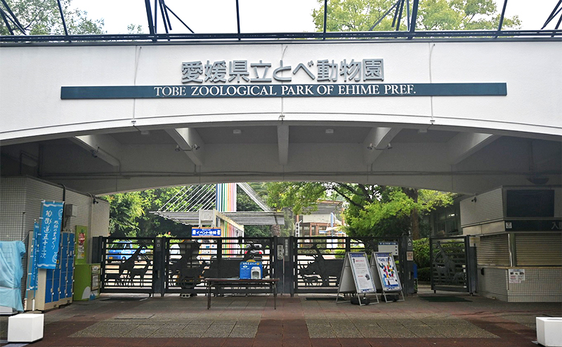 縺ィ縺ケ蜍慕黄蝨偵悟ケエ髢薙ヱ繧ケ繝昴シ繝医 繝√こ繝繝 蜈・蝣エ蛻ク 蜆ェ蠕蛻ク 螟ァ隕乗ィ。 繧ク繝繝励Λ繧、繝ウ