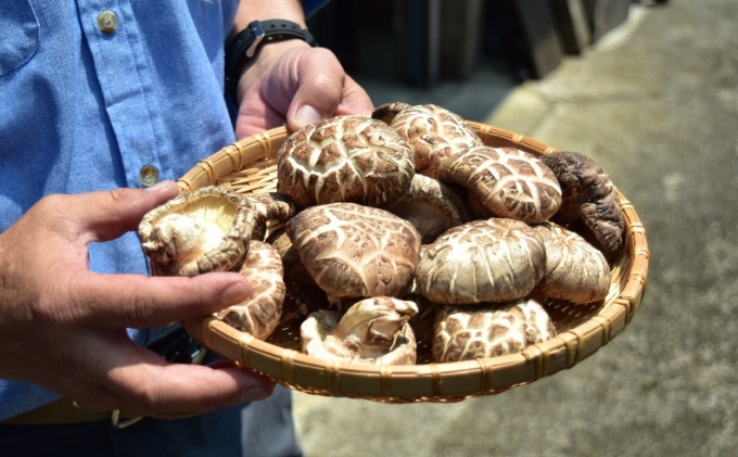 【道の駅ひろた】乾しいたけ180g　化粧箱入り 乾物 干し椎茸 野菜 食材 きのこ 乾燥椎茸 国産 日本産 和食 日本食 料理 調理 