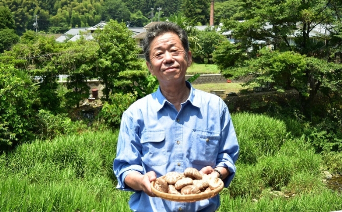 【道の駅ひろた】乾しいたけ180g　化粧箱入り 乾物 干し椎茸 野菜 食材 きのこ 乾燥椎茸 国産 日本産 和食 日本食 料理 調理 