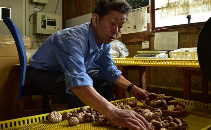 【道の駅ひろた】乾しいたけ180g　化粧箱入り 乾物 干し椎茸 野菜 食材 きのこ 乾燥椎茸 国産 日本産 和食 日本食 料理 調理 