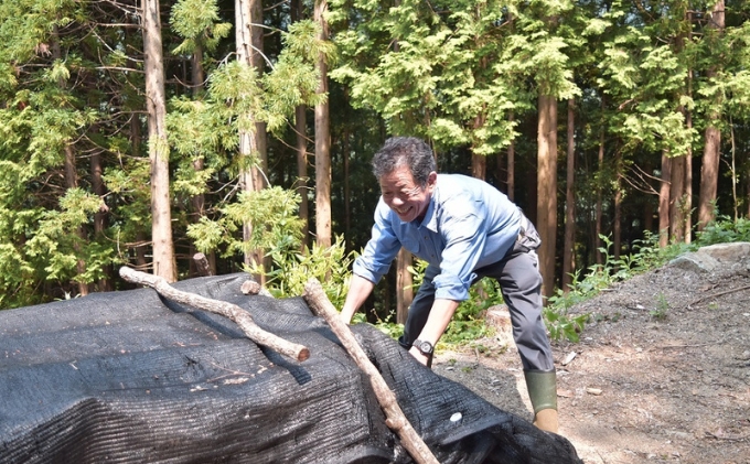 【道の駅ひろた】乾しいたけ180g　化粧箱入り 乾物 干し椎茸 野菜 食材 きのこ 乾燥椎茸 国産 日本産 和食 日本食 料理 調理 