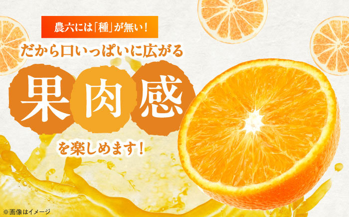 みかん 農六 約5kg【2月上旬から3月下旬まで順次発送】 / フルーツ 果物 蜜柑 ミカン オレンジ 小玉 甘い 先行予約 5kg 愛媛 / 愛媛県砥部町/和氣隆司 [BJBF001]