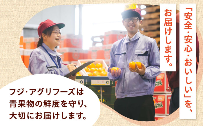 梅 七折小梅(生梅) 2kg 【5月中旬から6月下旬まで順次発送】 / 小梅 青梅 生梅 梅干し 梅干 梅酒 梅ジュース 梅シロップ 2kg 先行予約 / 愛媛県砥部町/株式会社フジ・アグリフーズ [BJBI011]