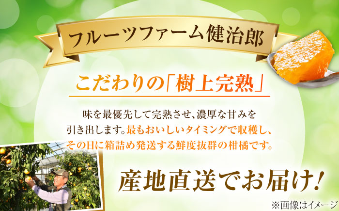 みかん 訳あり 愛果28号 約3kg サイズ不揃い【11月下旬から12月下旬まで順次発送】 / フルーツ 果物 蜜柑 ミカン オレンジ 訳あり 訳アリ 小玉 甘い 先行予約 3kg 愛媛 / 愛媛県砥部町/株式会社フルーツファーム健治郎 [BJBE001]