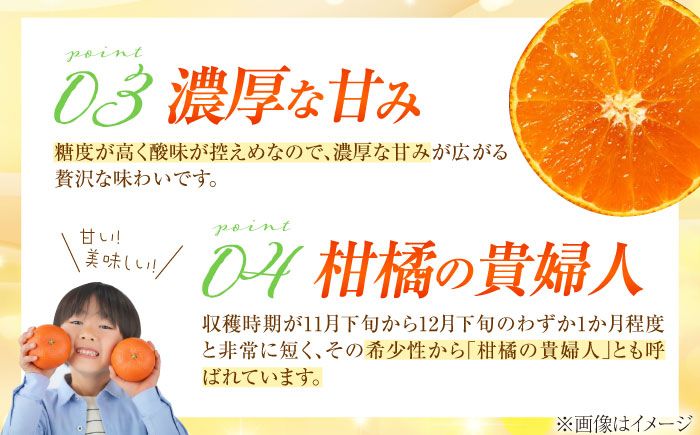 みかん 訳あり 愛果28号 約3kg サイズ不揃い【11月下旬から12月下旬まで順次発送】 / フルーツ 果物 蜜柑 ミカン オレンジ 訳あり 訳アリ 小玉 甘い 先行予約 3kg 愛媛 / 愛媛県砥部町/株式会社フルーツファーム健治郎 [BJBE001]