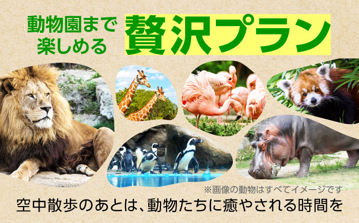 体験チケット とべもりジップライン往復体験チケット(えひめこどもの城スタート) / ジップライン 体験 チケット とべもり 往復 えひめこどもの城 アウトドア レジャー / 愛媛県砥部町/伊予鉄総合企画株式会社えひめこどもの城 [BJCL001]