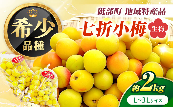 梅 七折小梅(生梅) 2kg 【5月中旬から6月下旬まで順次発送】 / 小梅 青梅 生梅 梅干し 梅干 梅酒 梅ジュース 梅シロップ 2kg 先行予約 / 愛媛県砥部町/株式会社フジ・アグリフーズ [BJBI011]
