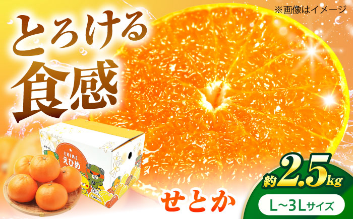 せとか L-3Lサイズ 約2.5kg【2月中旬から3月中旬まで順次発送】 / フルーツ 果物 蜜柑 ミカン オレンジ 小玉 甘い 先行予約 約 3kg 愛媛 / 愛媛県砥部町/株式会社フジ・アグリフーズ [BJBI006]