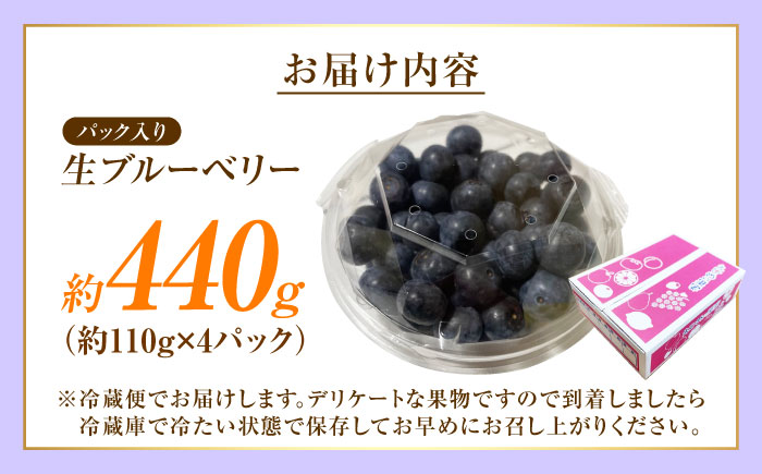 ブルーベリー 生ブルーベリー110ｇ×4パック【7月上旬から9月下旬まで順次発送】 / 冷蔵 フルーツ 果物 ブルーベリー 生 ジャム スムージー ドリンク / 愛媛県砥部町/西岡さん家のみかん園 [BJBG003]
