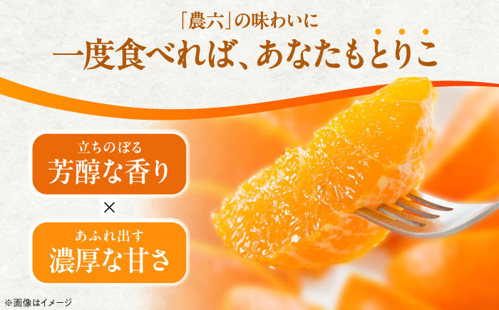 みかん 農六 約5kg【2月上旬から3月下旬まで順次発送】 / フルーツ 果物 蜜柑 ミカン オレンジ 小玉 甘い 先行予約 5kg 愛媛 / 愛媛県砥部町/和氣隆司 [BJBF001]