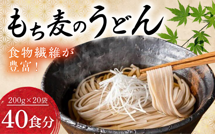 うどん もち麦のうどん(200g×20袋)40食分 / うどん 愛媛県産 もち麦 練り込み 常温 長期保存可 詰合せ 食物繊維 もちもち 食感 冷うどん 温うどん / 愛媛県砥部町/五色そうめん株式会社 [BJAY001]