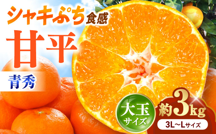 みかん 甘平 青秀 約3kg 3L-Lサイズ【1月中旬から2月中旬まで順次発送】 / フルーツ 果物 蜜柑 ミカン オレンジ 甘い 先行予約 3kg 愛媛 / 愛媛県砥部町/えひめ中央農業協同組合 [BJCG005]