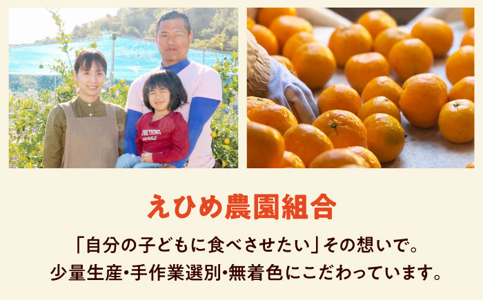 みかんジュース 蛇口からみかんジュース100人前(愛媛県内限定) / オレンジジュース 100％ みかん ジュース ストレート 果汁 移動販売 イベント設営 / 愛媛県砥部町/えひめ農園組合 [BJAZ011]