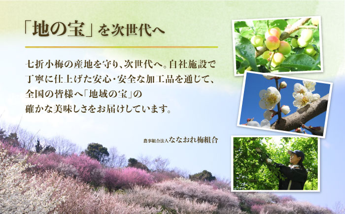 梅シロップ 七折小梅の梅シロップ 500ml×2本 / 梅シロップ 七折小梅 無添加 梅ジュース 国産 / 愛媛県砥部町/農事組合法人ななおれ梅組合 [BJAG001]