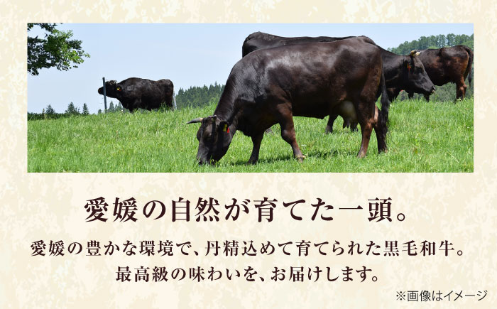 和牛 伊予牛「絹の味」黒毛和牛小間切れ 400g / 黒毛和牛 国産牛 和牛 こま切れ 牛肉 肉 牛 にく 伊予牛 おかず すき焼き 愛媛県産 ブランド牛 / 愛媛県砥部町/全国農業協同組合連合会愛媛県本部(砥部町) [BJAT002]