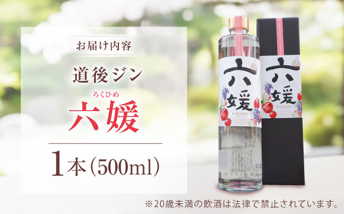クラフトジン 道後ジン六媛 500ml×1本 / クラフトジン 蒸留酒 お酒 ジン スピリッツ 地酒 / 愛媛県砥部町/水口酒造株式会社 [BJAI004]