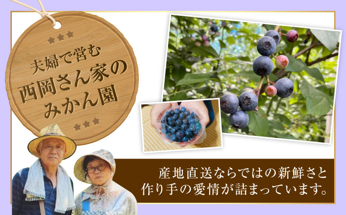 ブルーベリー 生ブルーベリー110ｇ×10パック【7月上旬から8月下旬まで順次発送】 / 冷蔵 フルーツ 果物 ブルーベリー 生 ジャム スムージー ドリンク / 愛媛県砥部町/西岡さん家のみかん園 [BJBG004]