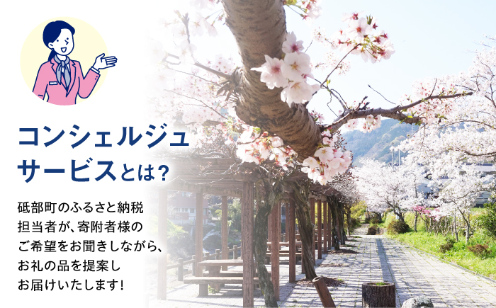 【砥部町コンシェルジュ】返礼品おまかせ！寄附額30万円コース 300,000円 砥部焼 焼き物 磁器 食器 柑橘 みかん 詰め合わせ プレゼント 内祝い お返し ギフト グルメ 食品 お取り寄せ 高級 [BJYZ013]