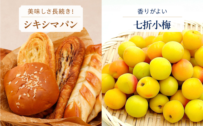 【あとから選べる】砥部町ふるさとギフト 50万円分 砥部焼 焼き物 果物 フルーツ 柑橘 みかん グルメ 食品 お取り寄せ 詰め合わせ [BJYZ010]