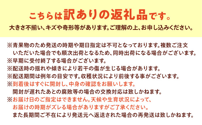 みかん 訳あり はれひめ 約3kg サイズ不揃い【12月上旬から翌年1月上旬まで順次発送】 / フルーツ 果物 蜜柑 ミカン オレンジ 訳あり 訳アリ 小玉 甘い 先行予約 3kg 愛媛 / 愛媛県砥部町/えひめ農園組合 [BJAZ003]