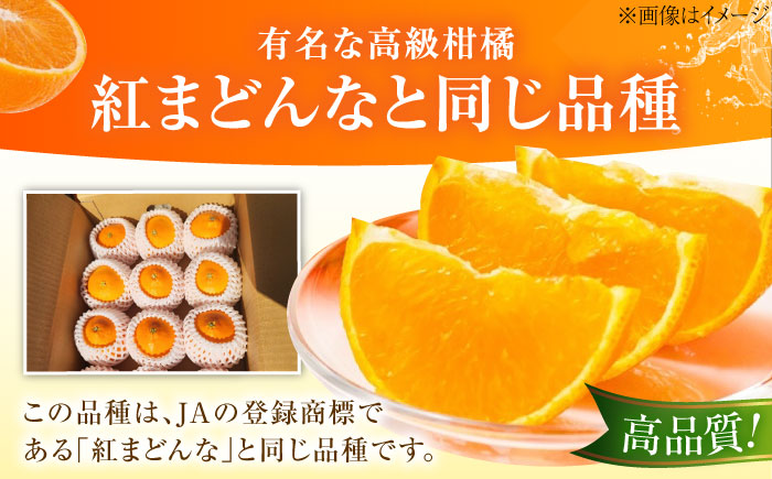 みかん 愛果28号 約2.7kg M-Lサイズ【12月上旬から2月下旬まで順次発送】 / フルーツ 果物 蜜柑 ミカン オレンジ 甘い 先行予約 約 3kg 愛媛 / 愛媛県砥部町/西岡さん家のみかん園 [BJBG001]