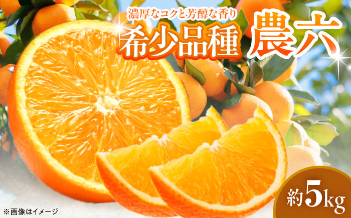 みかん 農六 約5kg[2月上旬から3月下旬まで順次発送] / フルーツ 果物 蜜柑 ミカン オレンジ 小玉 甘い 先行予約 5kg 愛媛 / 愛媛県砥部町/和氣隆司 [BJBF001]