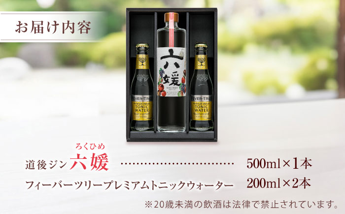 クラフトジン 道後ジン 六媛 500ml×1本・トニック 200ml×2本 セット / クラフトジン ジントニック セット 飲み比べ スピリッツ / 愛媛県砥部町/水口酒造株式会社 [BJAI002]