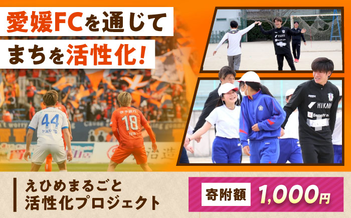 支援 えひめまるごと活性化プロジェクト 愛媛FC連携事業 1,000円【返礼品なし】 / ふるさと納税 寄附 支援 愛媛FC 連携事業 1000円 地方創生 まちづくり / 愛媛県砥部町/砥部町 [BJCA006]