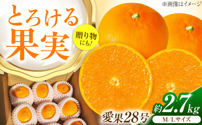 みかん 愛果28号 約2.7kg M-Lサイズ【12月上旬から2月下旬まで順次発送】 / フルーツ 果物 蜜柑 ミカン オレンジ 甘い 先行予約 約 3kg 愛媛 / 愛媛県砥部町/西岡さん家のみかん園 [BJBG001]