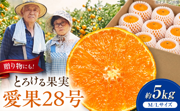 みかん 愛果28号 約5kg M-Lサイズ【12月上旬から2月下旬まで順次発送】 / フルーツ 果物 蜜柑 ミカン オレンジ 甘い 先行予約 約5kg 愛媛 / 愛媛県砥部町/西岡さん家のみかん園 [BJBG005]